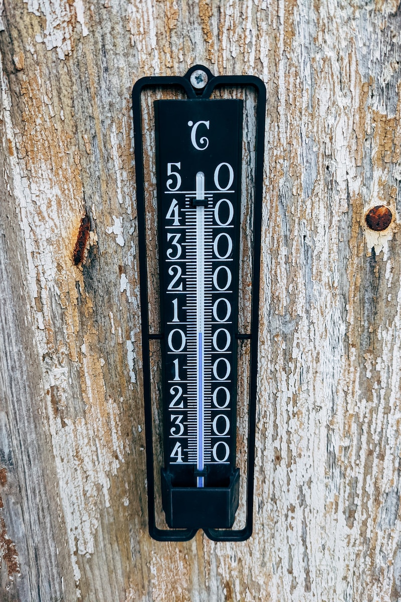 a thermometer mounted to a wooden wall